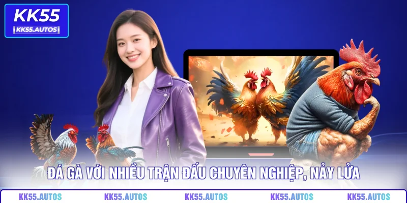 Đá gà với nhiều trận đấu chuyên nghiệp, nảy lửa