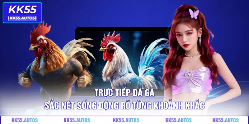 Trực tiếp đá gà sắc nét sống động rõ từng khoảnh khắc
